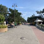 zdjęcie nr 38