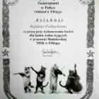 Styropianowe budki wykonane przez modelarzy MDK Leszek Kapczyński/MDK Elbląg