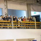 zdjęcie nr 16