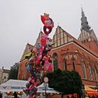 zdjęcie nr 14