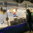 zdjęcie nr 45