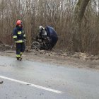 zdjęcie nr 12
