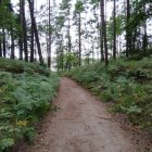 Tymczasowy Punkt Widokowy Karolina Król