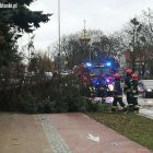 zdjęcie nr 7