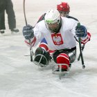 zdjęcie nr 95