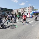 zdjęcie nr 220