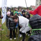 zdjęcie nr 31