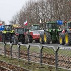 zdjęcie nr 7
