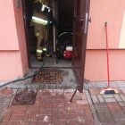 Fotka nr 5 z 10