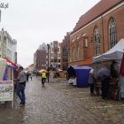 zdjęcie nr 37
