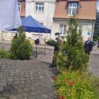 zdjęcie nr 7