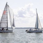 zdjęcie nr 239