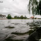 zdjęcie nr 14