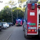 zdjęcie nr 9