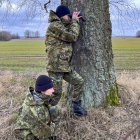 zdjęcie nr 7