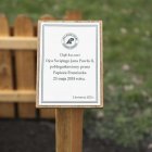 zdjęcie nr 13