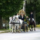 nadesłane
