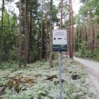 Tymczasowy Punkt Widokowy Karolina Król
