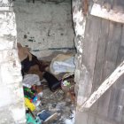 zdjęcie nr 8