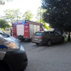 zdjęcie nr 11