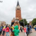 zdjęcie nr 13