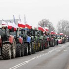 zdjęcie nr 108
