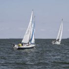 zdjęcie nr 242