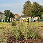 zdjęcie nr 7
