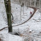 zdjęcie nr 17