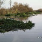  Ochotnicza Straż Pożarna w Krzewsku
