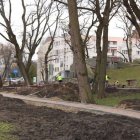 zdjęcie nr 18