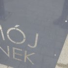 Fotka nr 5 z 12