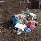 Akcja Posesja 2019 Straż Miejska w Elblągu