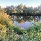 zdjęcie nr 16
