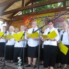 zdjęcie nr 11