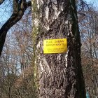 Straż Miejska kontrole Straż Miejska