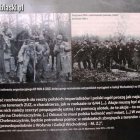 zdjęcie nr 10