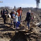 zdjęcie nr 16
