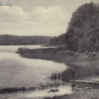 zdjęcie nr 31