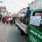 zdjęcie nr 43
