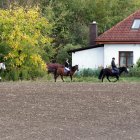 zdjęcie nr 108