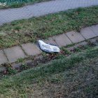zdjęcie nr 17