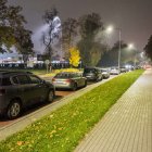 zdjęcie nr 12