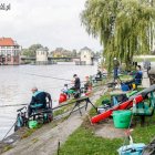zdjęcie nr 14
