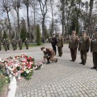 zdjęcie nr 17