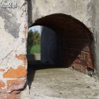 zdjęcie nr 48