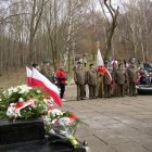 zdjęcie nr 45
