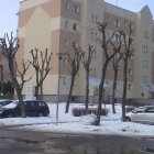 Podcinka drzew na osiedlu Za Politechniką nadesłane