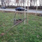 zdjęcie nr 8