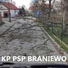 zdjęcie nr 11